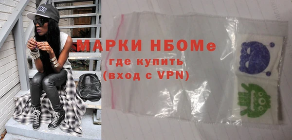 индика Алексин