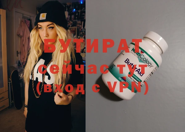 индика Алексин