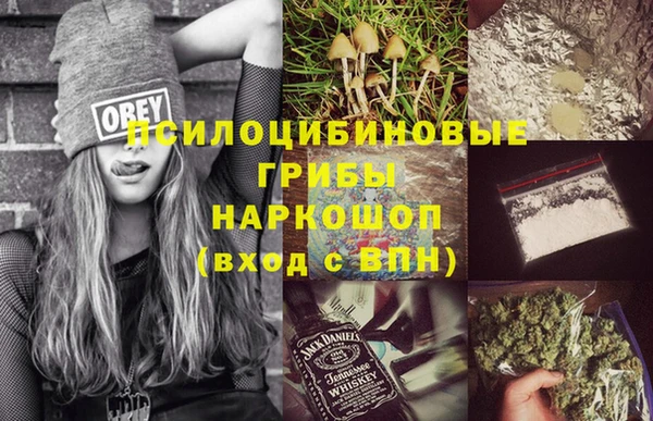 индика Алексин