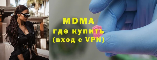 индика Алексин