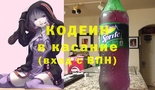 индика Алексин