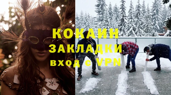 индика Алексин