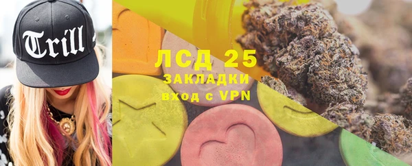 индика Алексин