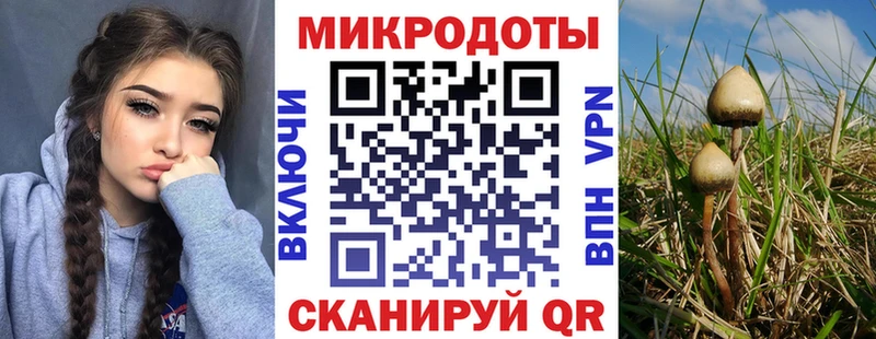 Галлюциногенные грибы ЛСД  Ишим 
